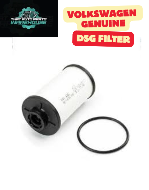 Genuine Volkswagen DSG Transmission Filter P# 02E305051C