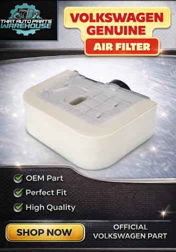Genuine Volkswagen Engine Air Filter P# 4M0133843H