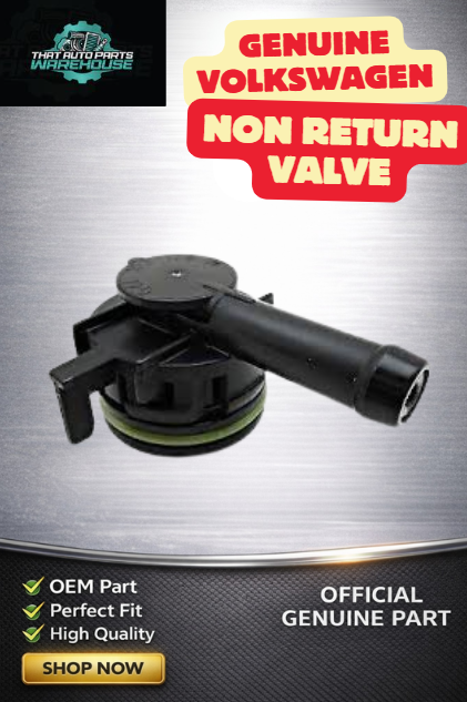 Genuine Volkswagen Non Return Valve P# 04E103175M